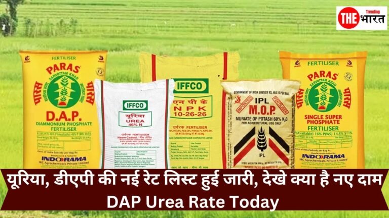 यूरिया, डीएपी की नई रेट लिस्ट हुई जारी, देखे क्या है नए दाम DAP Urea Rate Today